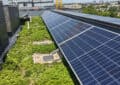 Solar Energy And Green Roofs: Combining Sustainability Practices