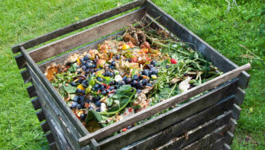 Benefits Of Composting: Transforming Kitchen Scraps Into Nutrient-Rich Soil