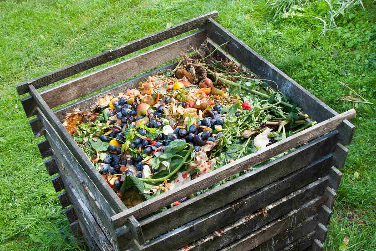 Benefits Of Composting: Transforming Kitchen Scraps Into Nutrient-Rich Soil