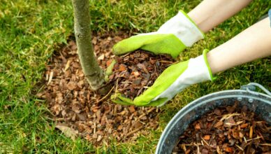 Benefits Of Mulching: Retaining Moisture And Suppressing Weeds In Your Garden