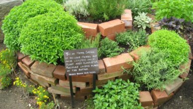 Creating A Herb Spiral: Maximizing Space For Growing Herbs