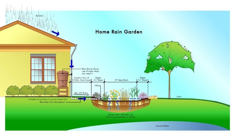 Creating A Rainwater Harvesting System: Utilizing Rainwater For Your Garden