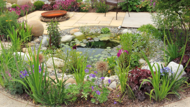 Creating A Wildlife Pond: Providing Habitat For Frogs, Turtles, And Aquatic Life