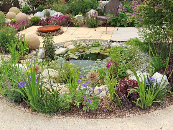 Creating A Wildlife Pond: Providing Habitat For Frogs, Turtles, And Aquatic Life