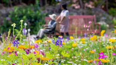 Designing A Sensory Garden: Engaging The Senses With Fragrant Flowers And Textures