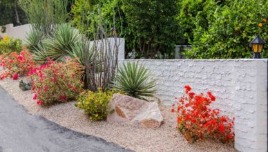 Drought-Tolerant Plants: Selecting And Caring For Water-Efficient Varieties