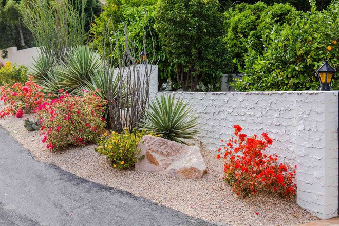 Drought-Tolerant Plants: Selecting And Caring For Water-Efficient Varieties