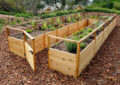 Exploring Different Types Of Garden Beds: Raised Beds, In-Ground Beds, And More