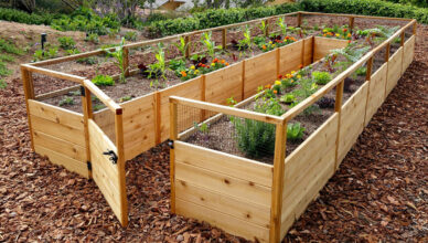 Exploring Different Types Of Garden Beds: Raised Beds, In-Ground Beds, And More