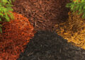 Exploring Different Types Of Garden Soil: Choosing The Right Mix For Your Plants