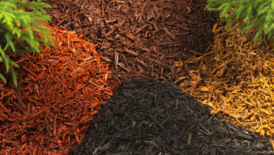 Exploring Different Types Of Garden Soil: Choosing The Right Mix For Your Plants 1