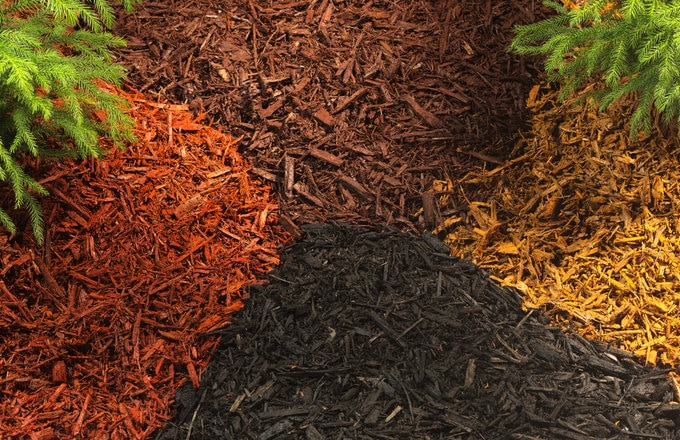 Exploring Different Types Of Garden Soil: Choosing The Right Mix For Your Plants