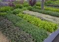 What Are Herb Gardens And How To Grow Your Own Herb Garden For Fresh Flavors