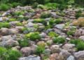 What Are Rock Gardens And How To Create A Beautiful Rock Garden Landscape
