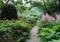 What Are Shade Gardens And How To Create A Lush Shade Garden In Your Yard