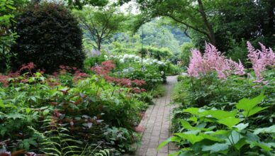 What Are Shade Gardens And How To Create A Lush Shade Garden In Your Yard