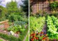 What Is Edible Landscaping And How To Incorporate Edible Plants In Your Landscape