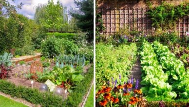 What Is Edible Landscaping And How To Incorporate Edible Plants In Your Landscape