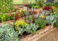 What Is Raised Bed Gardening And How To Build And Maintain Raised Beds