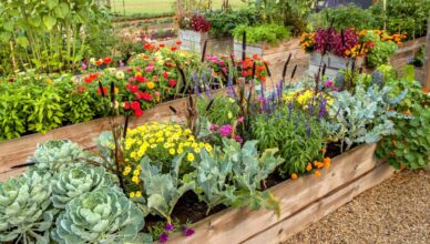 What Is Raised Bed Gardening And How To Build And Maintain Raised Beds