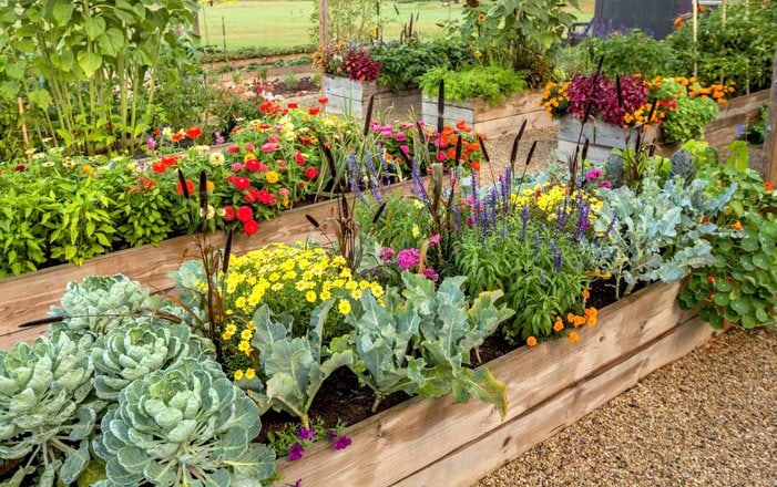 What Is Raised Bed Gardening And How To Build And Maintain Raised Beds