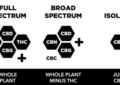 What Is The Difference Between Cbd Isolate And Full-Spectrum Cbd?