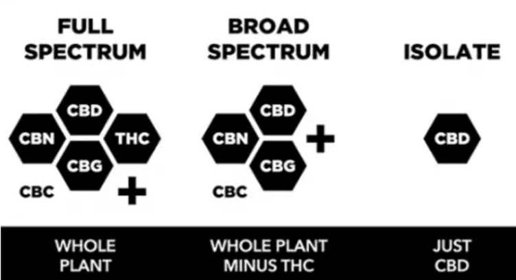 What Is The Difference Between Cbd Isolate And Full-Spectrum Cbd?