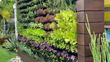 What Is Vertical Gardening And How To Create A Vertical Garden In Small Spaces