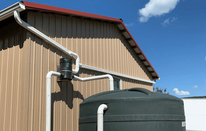 Why Harvesting Rainwater Is Sustainable And How To Set Up A Rainwater Collection System