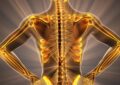 Why Is Bone Health Important And How To Maintain Strong And Healthy Bones?