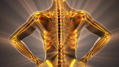 Why Is Bone Health Important And How To Maintain Strong And Healthy Bones?