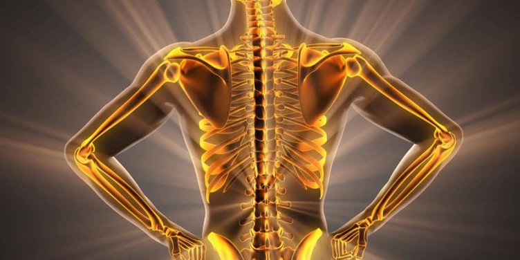 Why Is Bone Health Important And How To Maintain Strong And Healthy Bones?