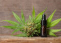 Why Is Cbd Used For Skin Conditions And Skincare?