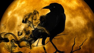 The Raven And Other Poems