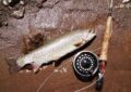 What Is Trout Fishing And What Techniques Are Effective For Trout?