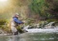 Why Fishing Is A Hobby That Encourages Conservation Awareness?