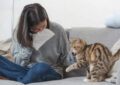 Can Cats Develop Allergies, and How to Manage Them