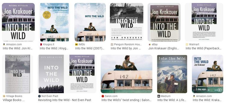 Into the Wild by Jon Krakauer - Summary and Review
