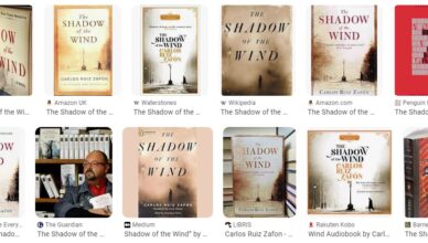 The Shadow of the Wind by Carlos Ruiz Zafón - Summary and Review