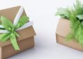 The Significance of Eco-Friendly Business Gifts