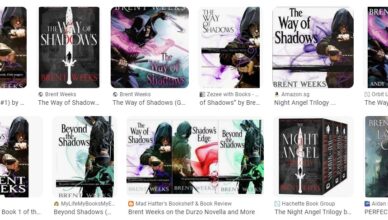 The Way of Shadows by Brent Weeks - Summary and Review