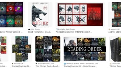 The Witcher Series by Andrzej Sapkowski - Summary and Review