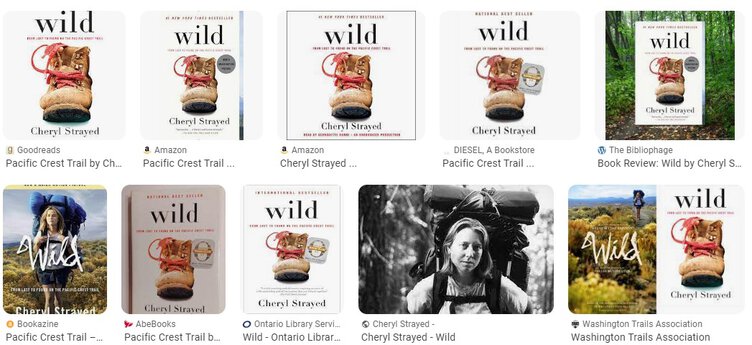Wild: From Lost to Found on the Pacific Crest Trail by Cheryl Strayed - Summary and Review