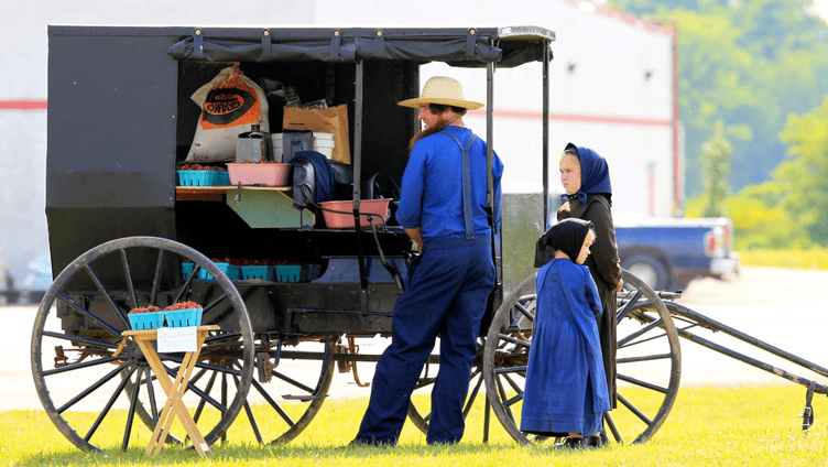 Why Is Medicaid Expansion Crucial for Amish Communities