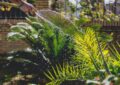 Water-Wise Gardening: Strategies For Efficient Water Use In The Garden