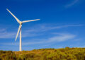 Why Is Wind Energy Considered A Cost-Effective Power Source In The Long Run?