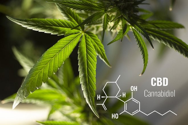 Why Is Cbd Being Studied For Its Potential Antipsychotic Effects?