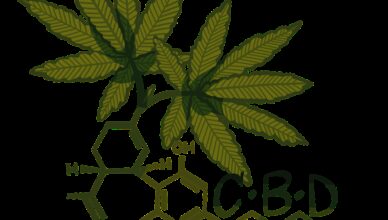 Why Is Cbd Believed To Have Neuroprotective Properties?