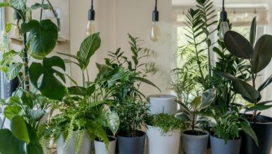 What Is Indoor Gardening And How To Cultivate A Thriving Garden Indoors