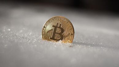 Navigating Through Crypto Winter: Understanding Major Cryptocurrency Downturns